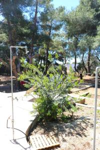 Zahrada ubytování Villa Maria in Puglia con pineta vicino al mare