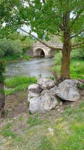 Príroda v okolí of the country house
