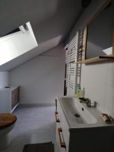 ein Badezimmer mit Waschbecken und Toilette in der Unterkunft MA SOLOGNE,ZOO BEAUVAL,CHATEAUX DE LA LOIRE,GOLF in Sassay