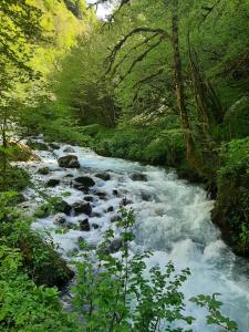 a stream of water with rocks in a forest at les Spartiates in Seix