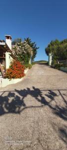 Fotografia z galérie ubytovania Jolanda v Mali Lošinj