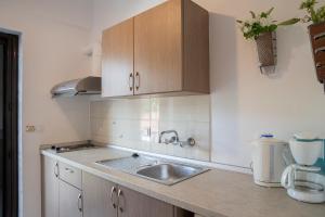 A kitchen or kitchenette at Manos Kritikakis Apartments