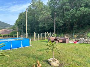 a palm tree in a yard next to a pool at El nido del cuco in Padrón