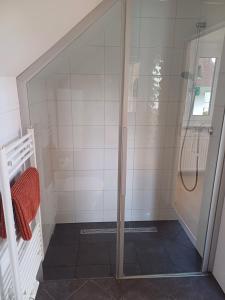 a shower with a glass door in a bathroom at Seeappartements Villa Sole in Pörtschach am Wörthersee