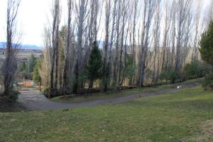 Billede fra billedgalleriet på Alamos del sur Apart hotel i San Carlos de Bariloche