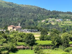 ein grünes Feld mit Bäumen und einem Berg in der Unterkunft Casa La Oveja Negra, con Piscina in Padrenda