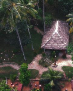 z góry widok na chatę z palmą w obiekcie Vishram Village w mieście Varkala