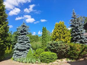 eine Reihe von Bäumen in einem Garten mit blauem Himmel in der Unterkunft Champêtre Park View Apartments in Riga