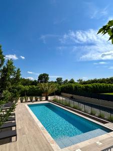 Πισίνα στο ή κοντά στο Clos des Mouliniers - Gîtes 5 étoiles en Ardèche +31 φωτογραφίες