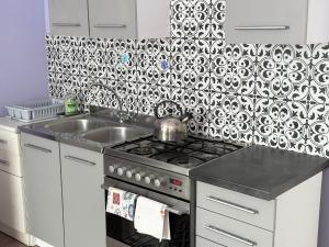 a kitchen with a stove and a sink at Studio Jolanta in Starachowice