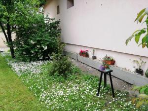 Marcsi Apartman 5700 Gyula, Nagyváradi út 13 kép - 3