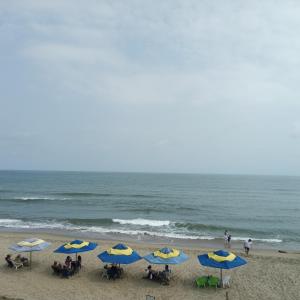 a group of blue and yellow umbrellas on a beach at Hotel Juanmar in Juan de Acosta