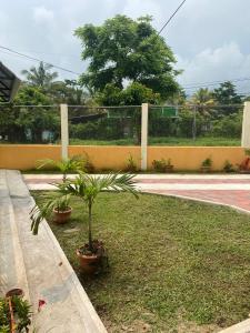 Zahrada ubytování Casa Villaflores Zapotitlán