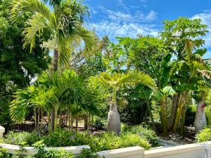 Foto dalla galleria di Extra spacious oceanview condo 5 min from pristine beach a Providenciales