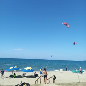 a group of people on the beach flying kites at Hotel Juanmar in Juan de Acosta