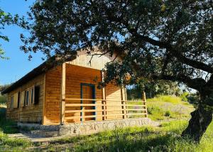 eine Holzhütte mit einem Baum davor in der Unterkunft Hamlet's Friends in Nuño Gómez