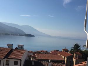 - une vue sur une étendue d'eau avec des maisons et des montagnes dans l'établissement ANJA lake view, à Ohrid 10 autres photos