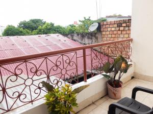 a balcony with two potted plants and a roof at Moicca Youth Hostel in Iquitos