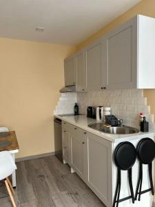 una cocina con fregadero y encimera en Lāčplēšas ielas apartment 2, en Liepāja