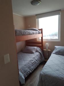 Ce dortoir comprend 2 lits superposés et une fenêtre. dans l'établissement Departamento La Serena, à La Serena