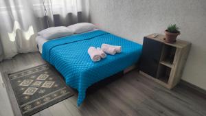 Billede fra billedgalleriet på Mountain View Apartment i Petroşani