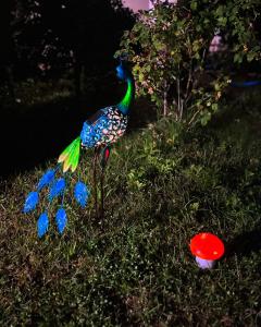 a peacock standing in the grass next to a red ball at CHALET Orsova in Orşova