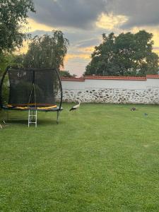 a bird standing in a yard with a trampoline at Vila Teo in Vasil Levski