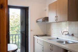 Kuchyň nebo kuchyňský kout v ubytování Manos Kritikakis Apartments