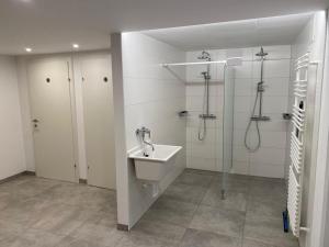 ein Bad mit einem Waschbecken und einer Dusche in der Unterkunft Gartenapartment Mariazell in Mariazell