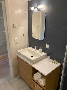 ein Bad mit einem Waschbecken und einem Spiegel in der Unterkunft Gartenapartment Mariazell in Mariazell