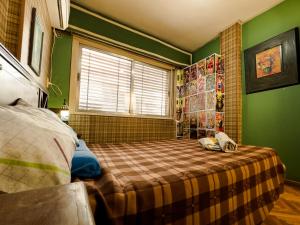 a bedroom with a bed and green walls and a window at Rodex Hostel Tucuman in San Miguel de Tucumán