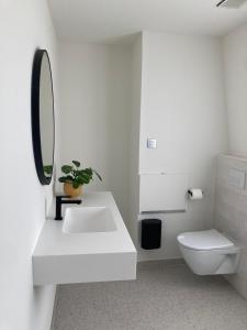 a white bathroom with a sink and a toilet at Charmante stadswoning aan Groen Kwartier in Antwerp +15 photos