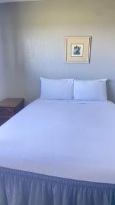 Bett mit blauer Bettwäsche und Kissen in einem Zimmer in der Unterkunft Ocean Shores Inn & Suites in Ocean Shores