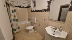 RucărにあるCasa Tradițională Transilvăneanaのトイレと洗面台付きのバスルーム +28枚の写真