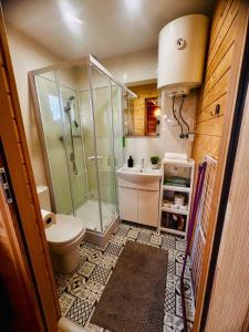 a bathroom with a shower and a toilet and a sink at Domek letniskowy Jawor z basenem in Małdyty