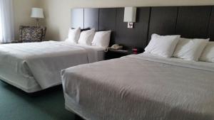 zwei Betten in einem Hotelzimmer mit weißen Laken und Kissen in der Unterkunft GOLD VAULT INN in Radcliff