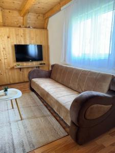 TV a/nebo společenská místnost v ubytování Mountain Houses Šarović