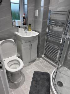 a bathroom with a toilet and a sink and a shower at Luxury 4 bed house in Coventry in Coventry +9 photos