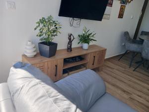 a living room with a couch and a tv at Blue sky apartman in Krašići