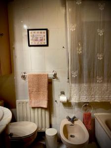 a small bathroom with a toilet and a sink at Apartamento El Rincón de Pilar in El Astillero