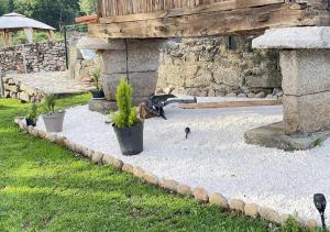 A garden outside Casita del Río Ourense