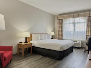 Tempat tidur dalam kamar di Country Inn & Suites by Radisson, Tucson Airport, AZ