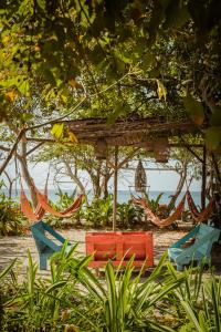 a group of chairs and hammocks on a beach at El Hamaquero Hostal EcoNativo in Isla Grande