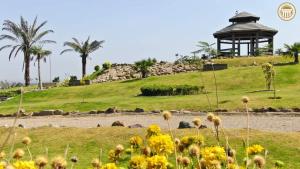 a field of flowers with a gazebo on a hill at Vip homes jhelum in Jhelum