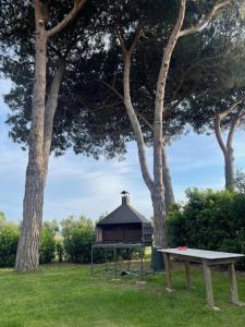 A garden outside Agriturismo I GRANAI
