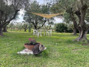 A garden outside Agriturismo I GRANAI
