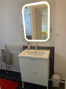 a bathroom with a white sink and a mirror at Studio hypercentre résidence standing in Belfort
