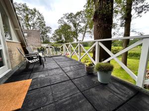 a deck with a bench and a tree at B&B slaap in Buurse in Haaksbergen