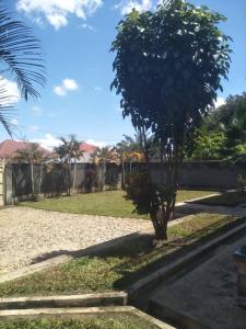 a tree in the middle of a park at Iwachu Villa in Bujumbura +13 photos