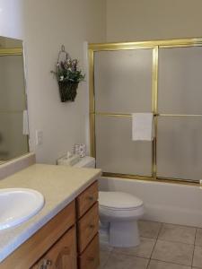 a bathroom with a sink and a toilet and a shower at Cascade Three Bedroom Two Bath – C07 in Ouray +16 photos